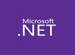 .NET Framework 4.8 中文版安